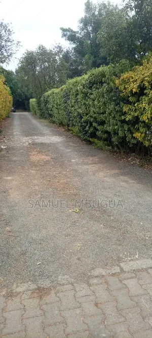 2bdrm Bungalow in Karen for rent