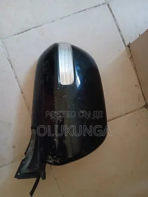 Toyota Vanguard Side Mirror