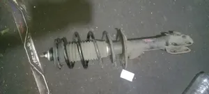 Belta Shock Absorber