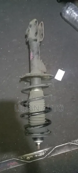 Belta Shock Absorber