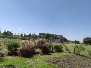 1/8 Plot at Enkerai Homes