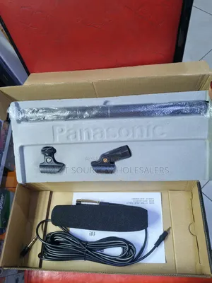 Panasonic Professional Microphone