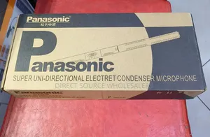 Panasonic Professional Microphone