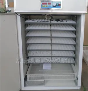 Egg Incubator 64 Eggs Automatic Incubator