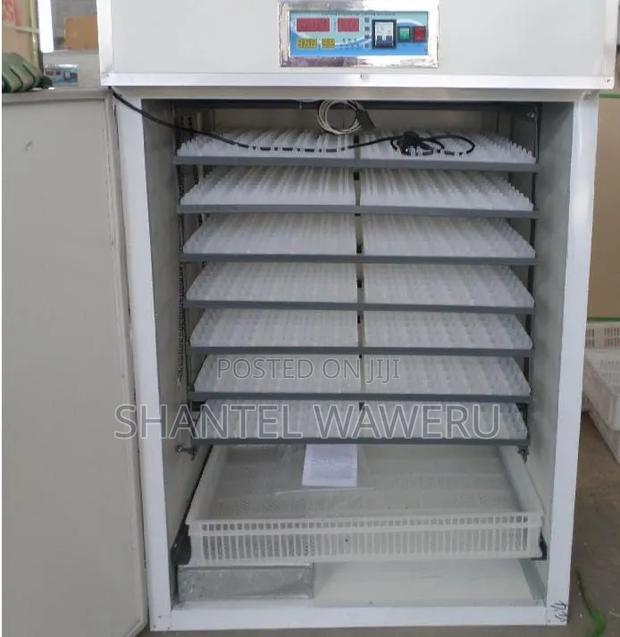 Egg Incubator 64 Eggs Automatic Incubator