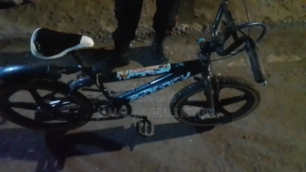 DMX Bicycle