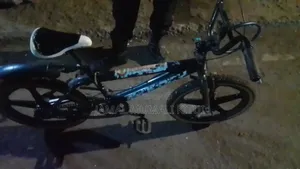DMX Bicycle