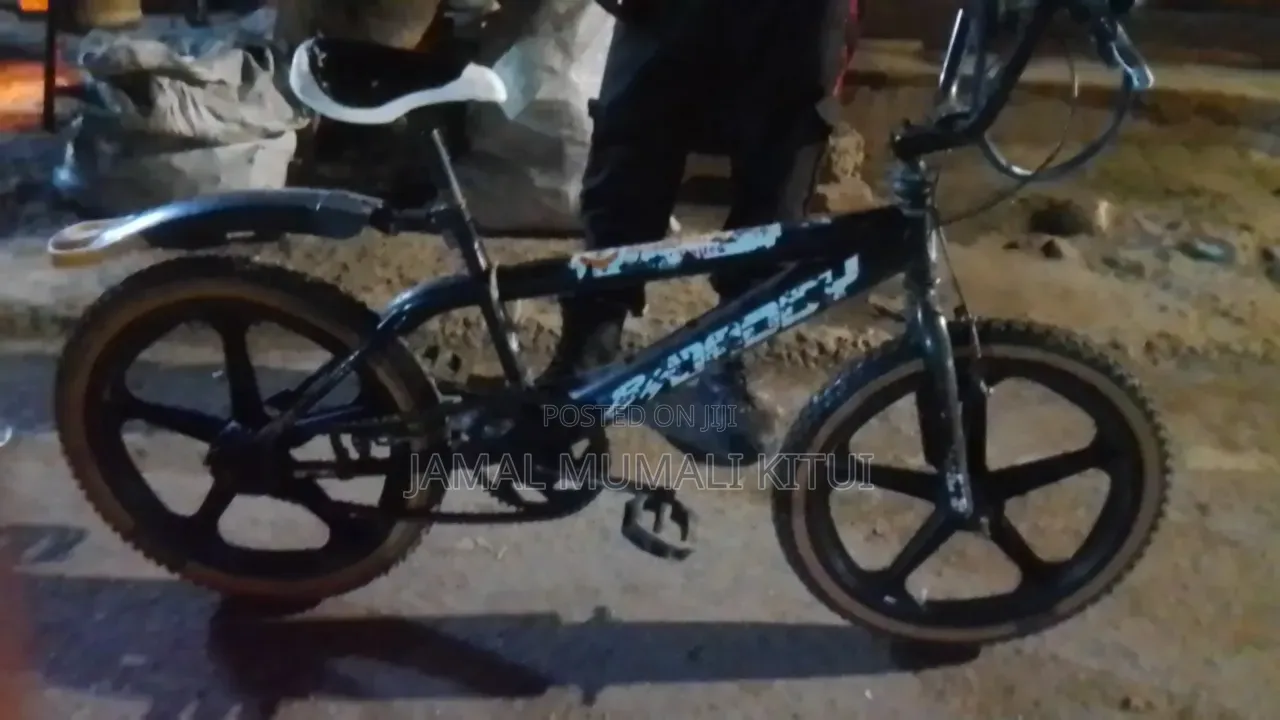 DMX Bicycle