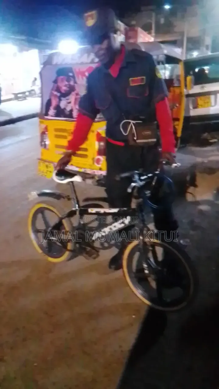 DMX Bicycle