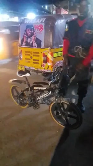 DMX Bicycle