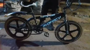DMX Bicycle