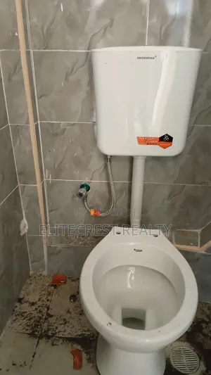 Professional Plumbing Services