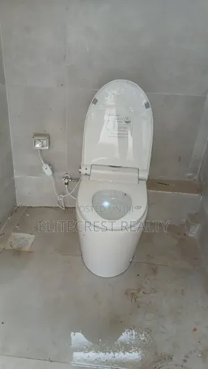 Professional Plumbing Services