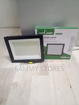 100W LED Floodlight High Brightness Outdoor Light
