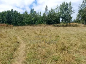 1/2 Acre Land for Sale at Kibiko