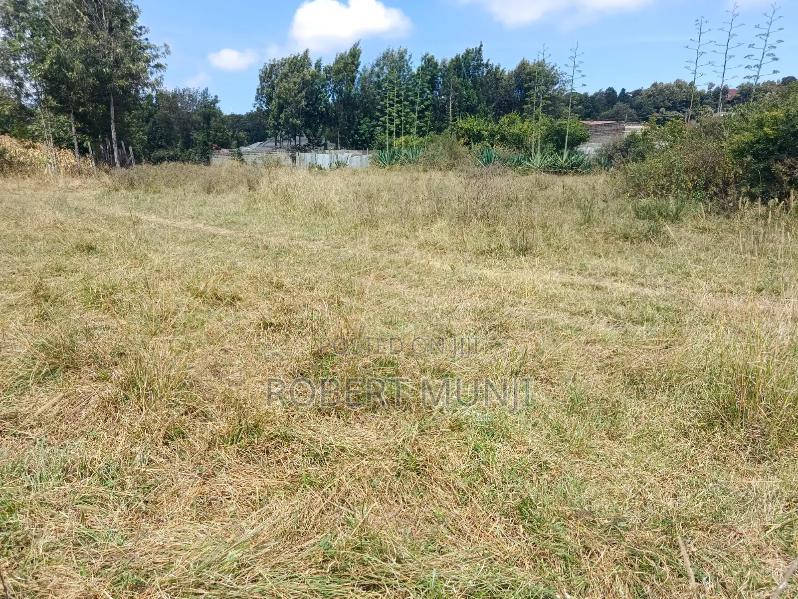 1/2 Acre Land for Sale at Kibiko