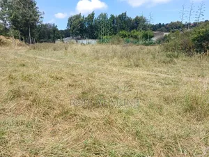 1/2 Acre Land for Sale at Kibiko