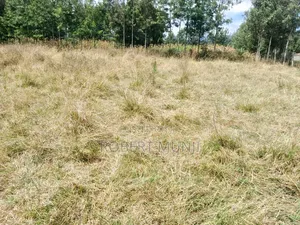 1/2 Acre Land for Sale at Kibiko