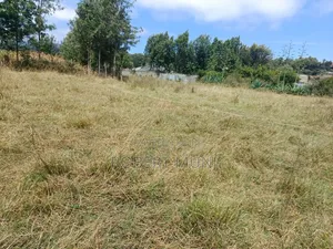 1/2 Acre Land for Sale at Kibiko