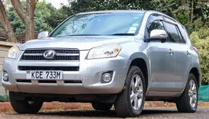 Toyota RAV4 2010 Silver