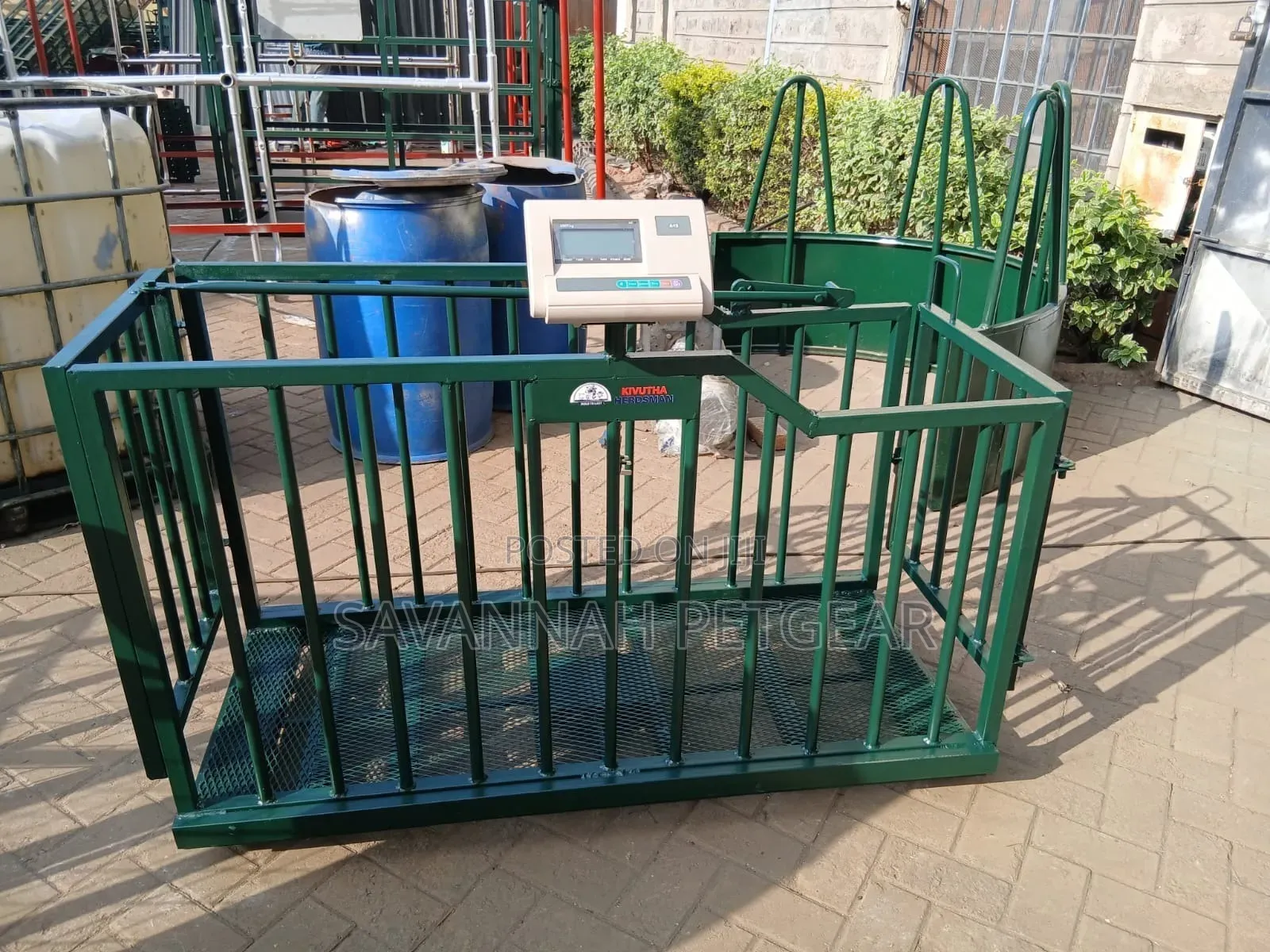 Digital Livestock Weighing Scale for Pigs,goats,sheep Monitor Growth