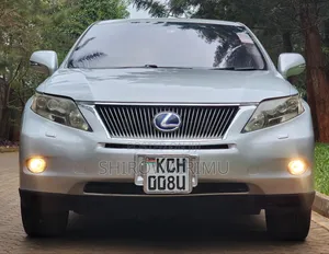 Lexus RX 2010 Silver