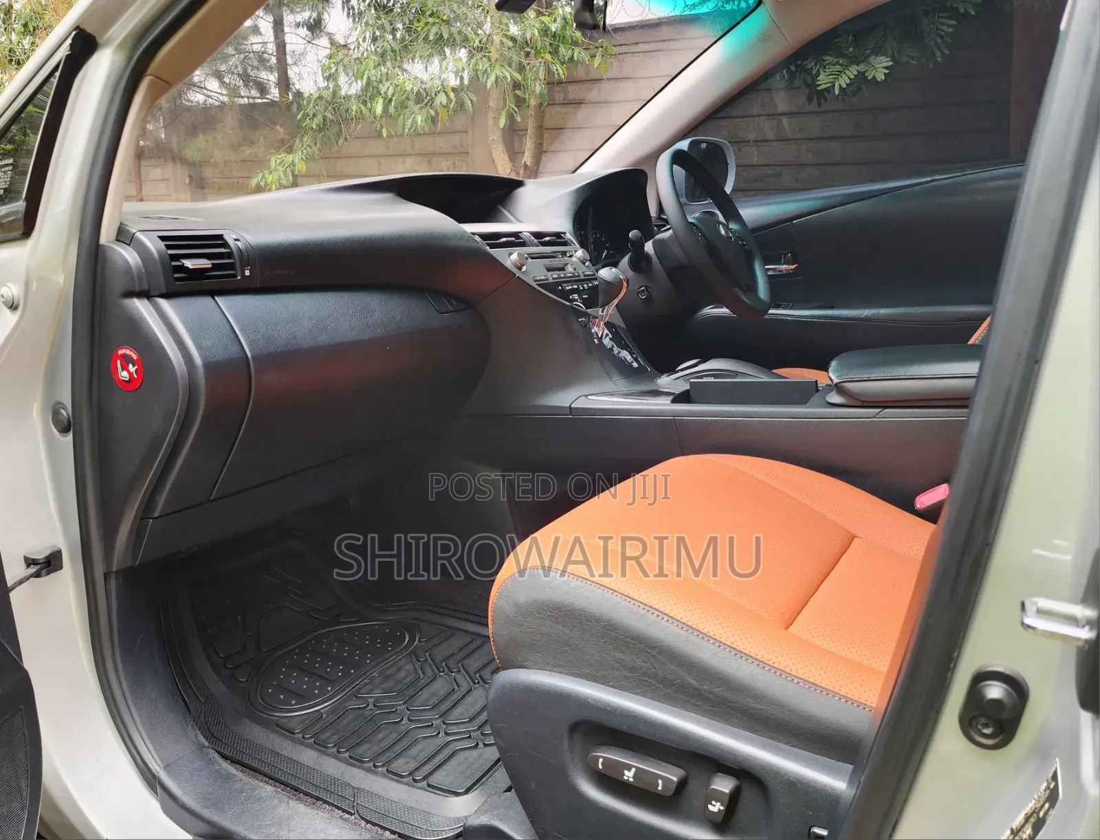 Lexus RX 2010 Silver