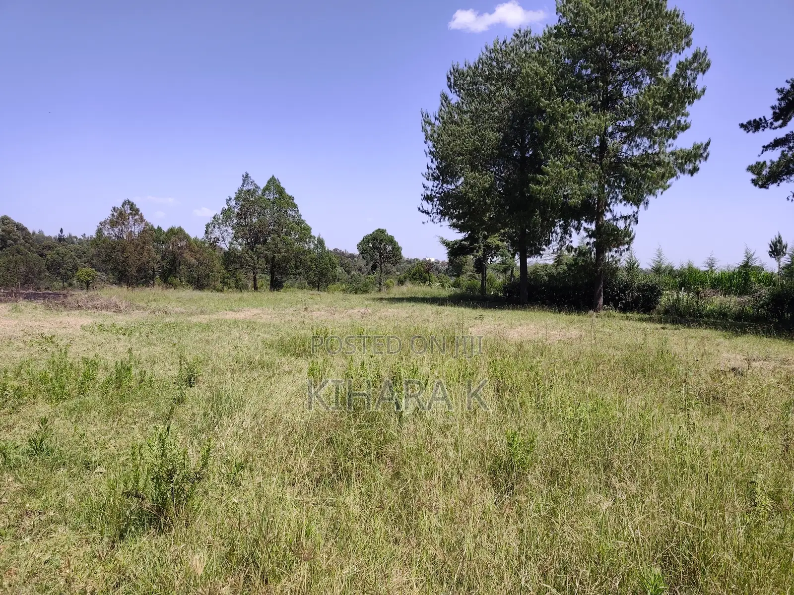 4.6 Acre Riverfront Land for Sale in Nanyuki