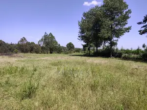 4.6 Acre Riverfront Land for Sale in Nanyuki