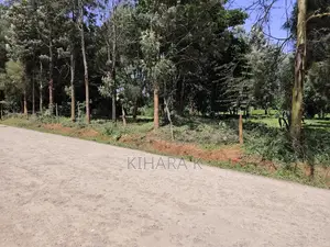 4.6 Acre Riverfront Land for Sale in Nanyuki