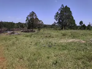 4.6 Acre Riverfront Land for Sale in Nanyuki