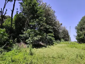 4.6 Acre Riverfront Land for Sale in Nanyuki