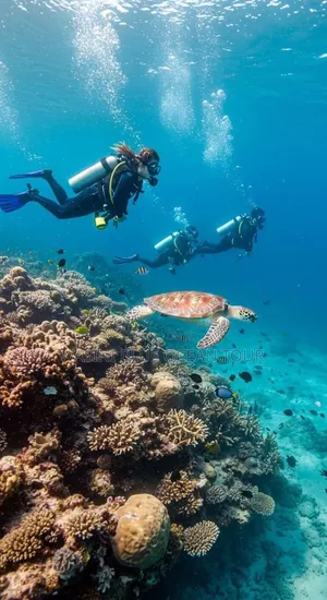 Kisite Marine Park and Wasini Tour! Dolphins Watching and Snorkeling