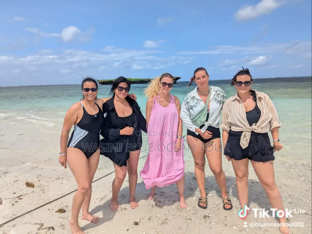 Kisite Marine Park and Wasini Tour! Dolphins Watching and Snorkeling