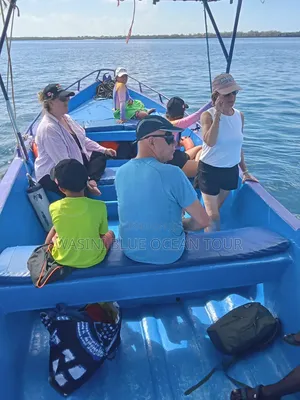 Kisite Marine Park and Wasini Tour! Dolphins Watching and Snorkeling