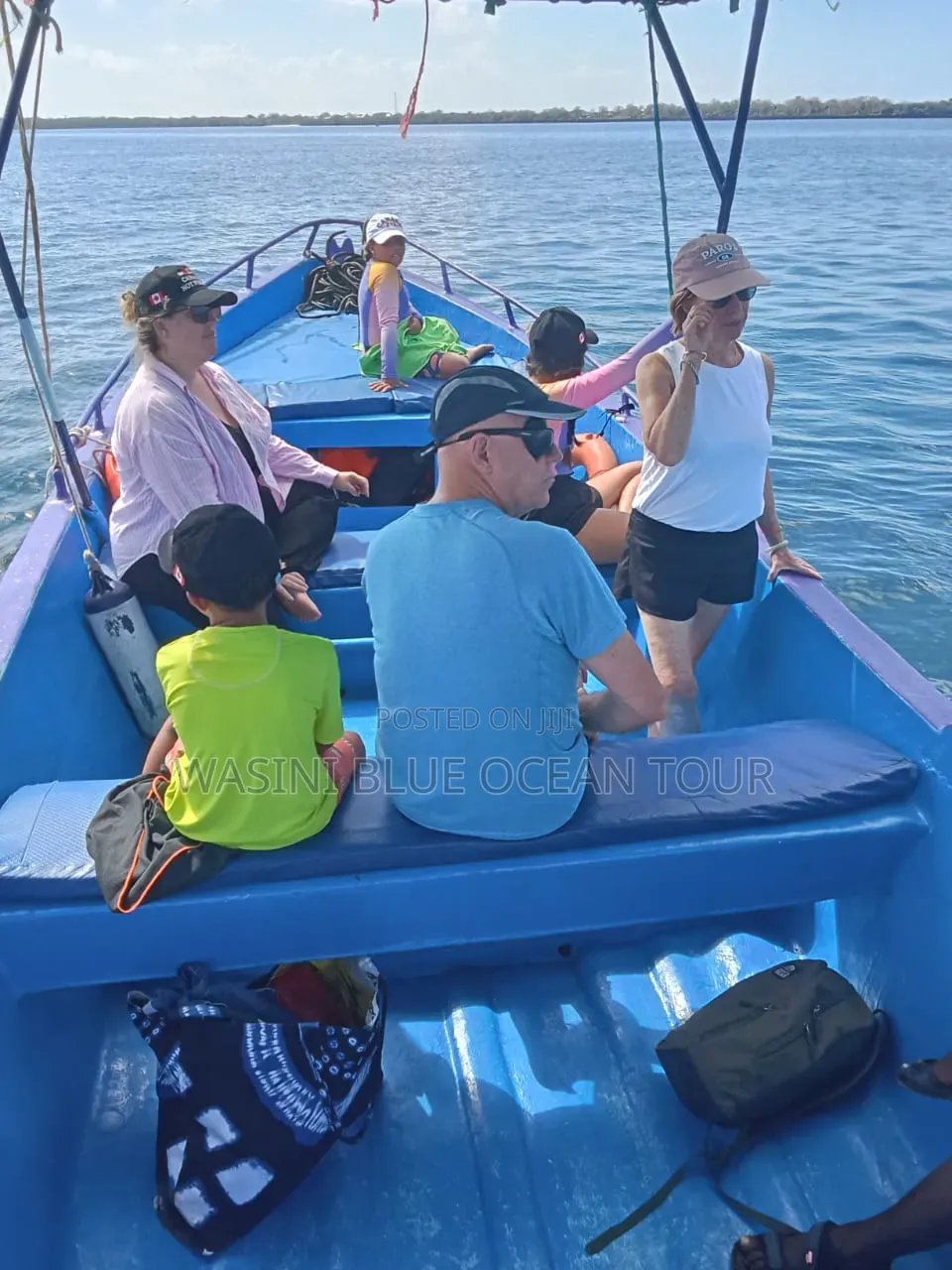 Kisite Marine Park and Wasini Tour! Dolphins Watching and Snorkeling