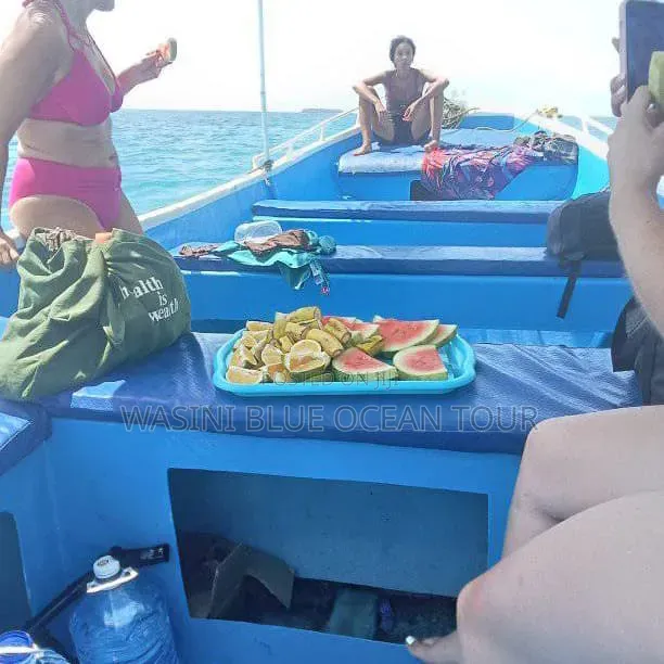 Kisite Marine Park and Wasini Tour! Dolphins Watching and Snorkeling
