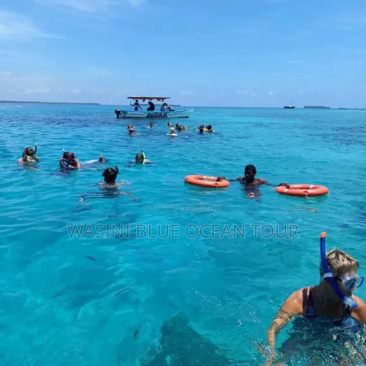 Kisite Marine Park and Wasini Tour! Dolphins Watching and Snorkeling