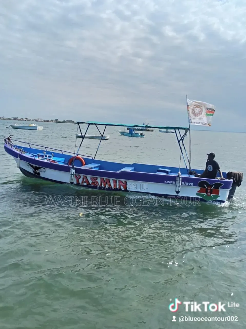 Kisite Marine Park and Wasini Tour! Dolphins Watching and Snorkeling