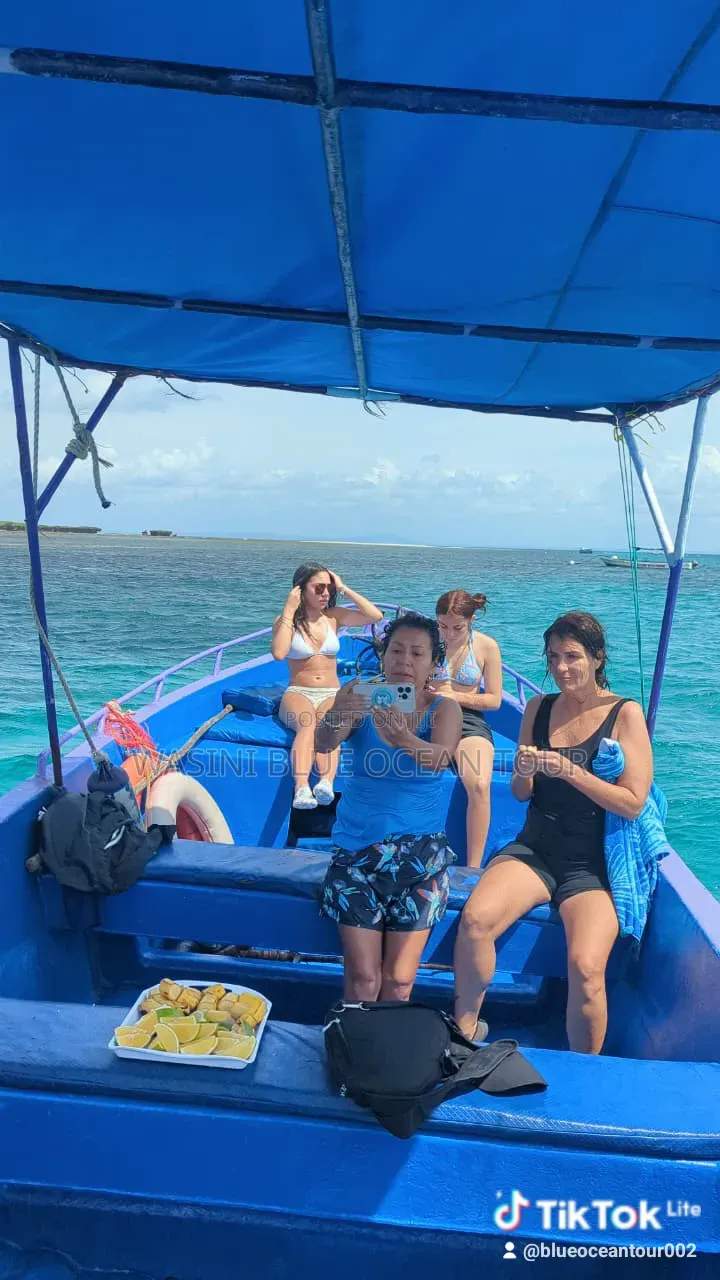 Kisite Marine Park and Wasini Tour! Dolphins Watching and Snorkeling