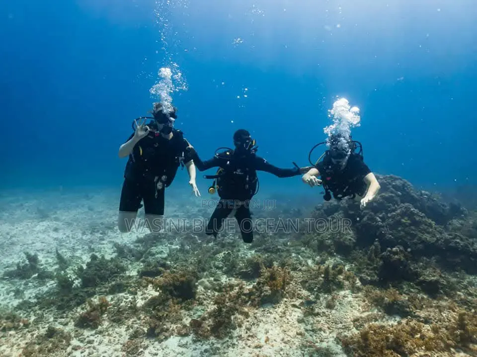 Kisite Marine Park and Wasini Tour! Dolphins Watching and Snorkeling