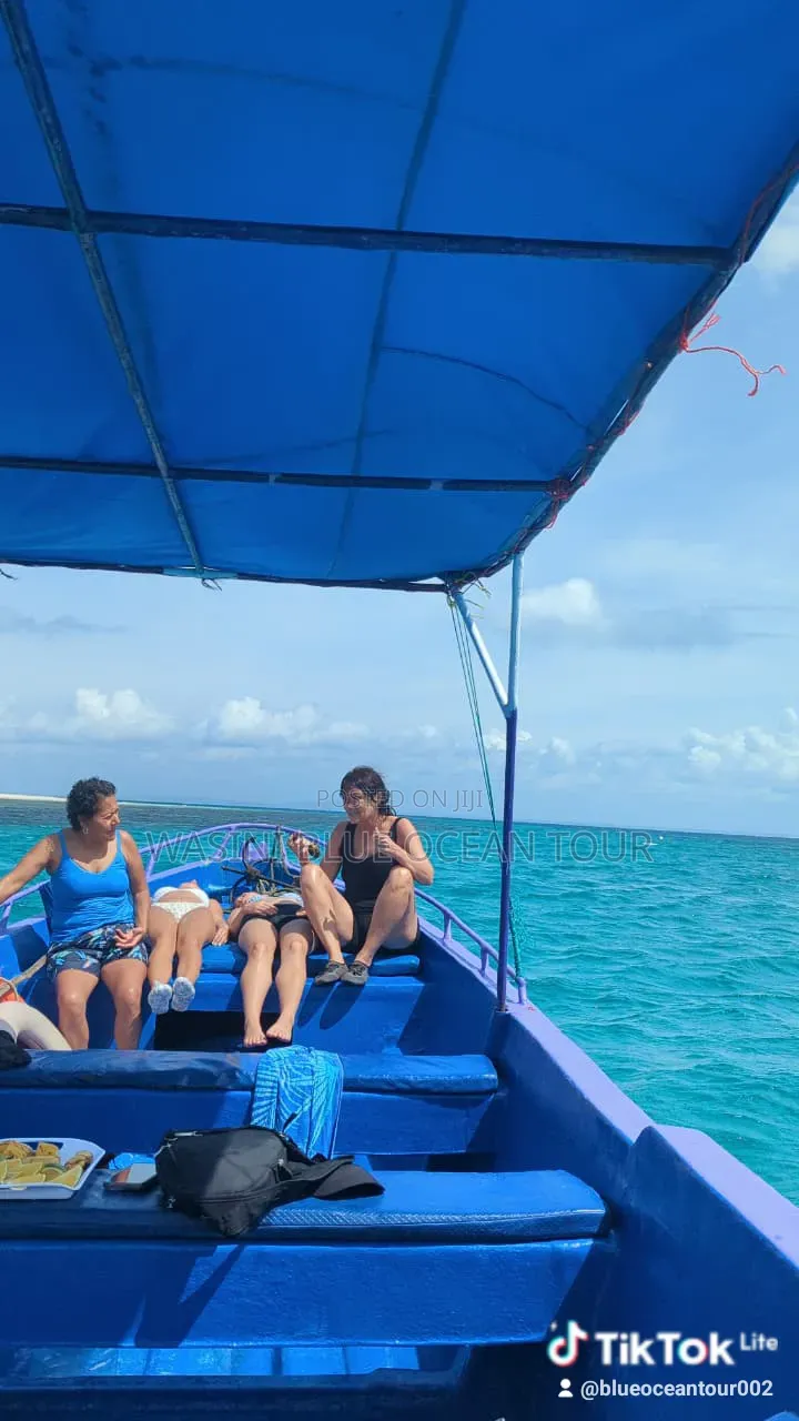 Kisite Marine Park and Wasini Tour! Dolphins Watching and Snorkeling