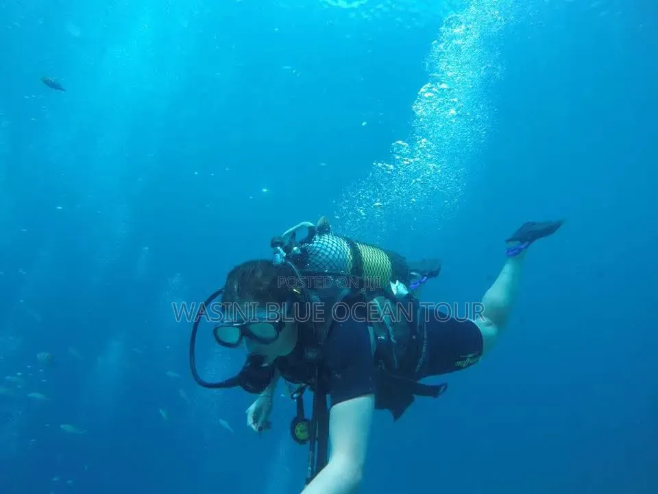 Kisite Marine Park and Wasini Tour! Dolphins Watching and Snorkeling