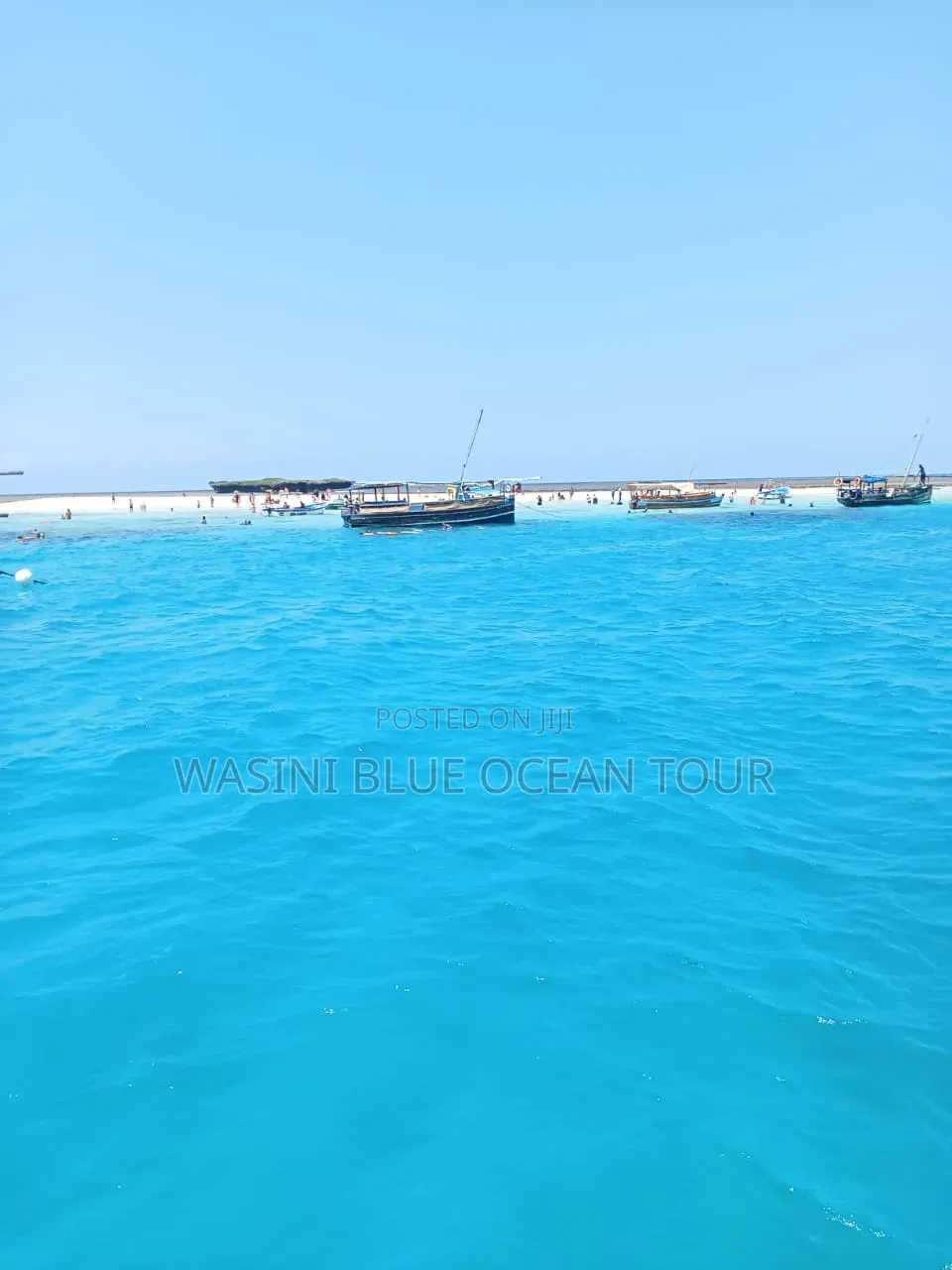 Kisite Marine Park and Wasini Tour! Dolphins Watching and Snorkeling