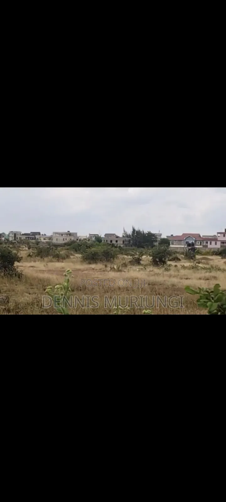 Tola Estate