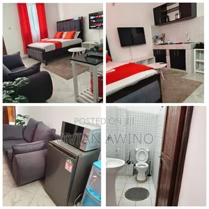 Furnished 1bdrm Apartment in Baraka, Mtambo for Rent