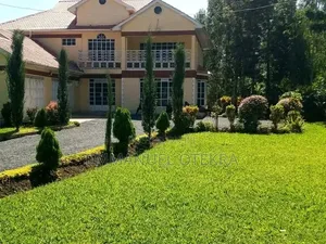 Cleaning and Landscaping