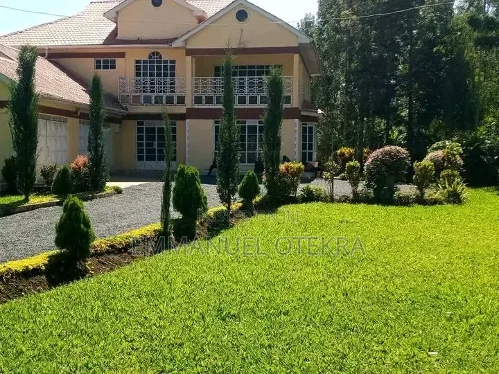 Cleaning and Landscaping