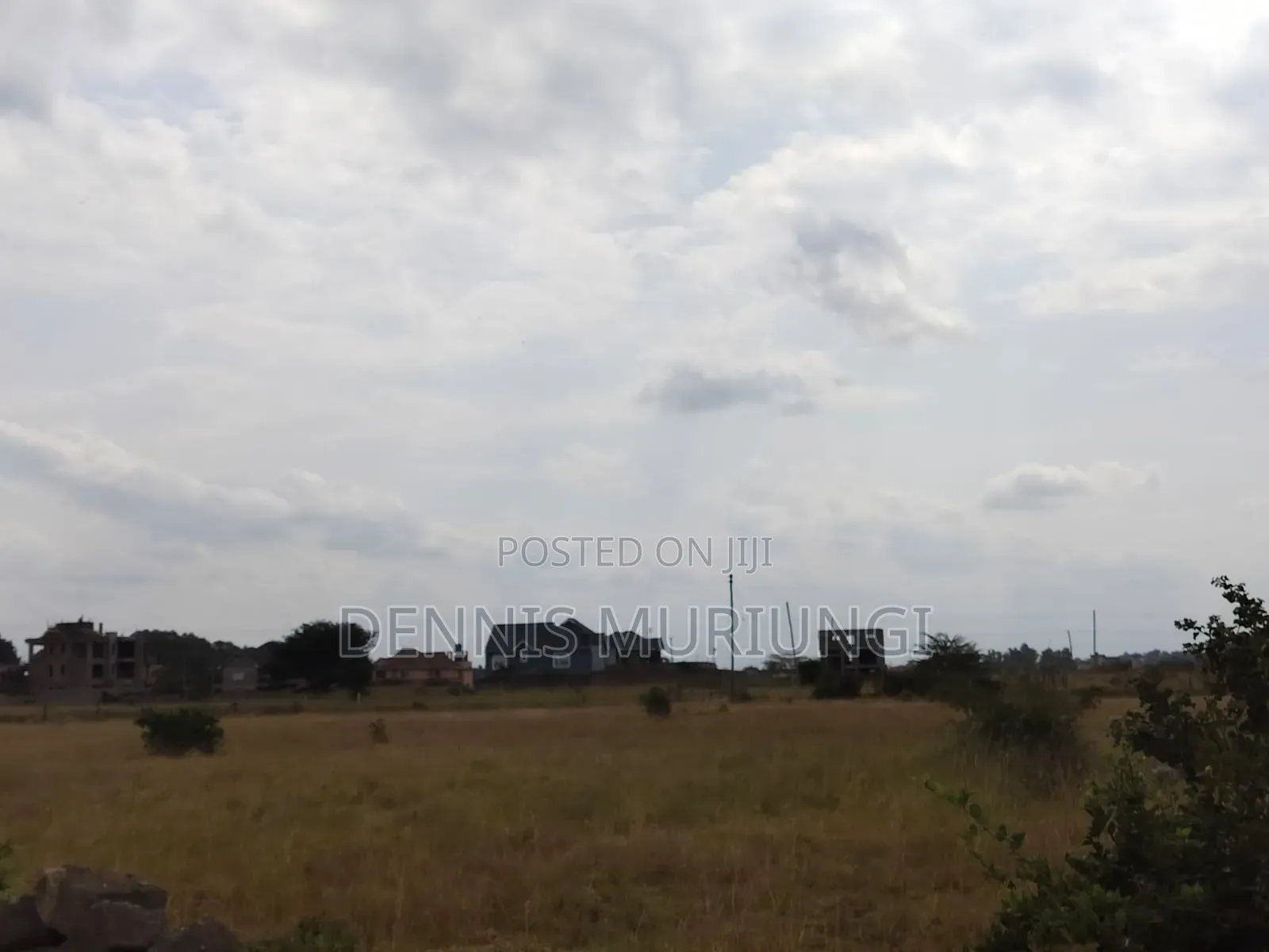 Tola Estate