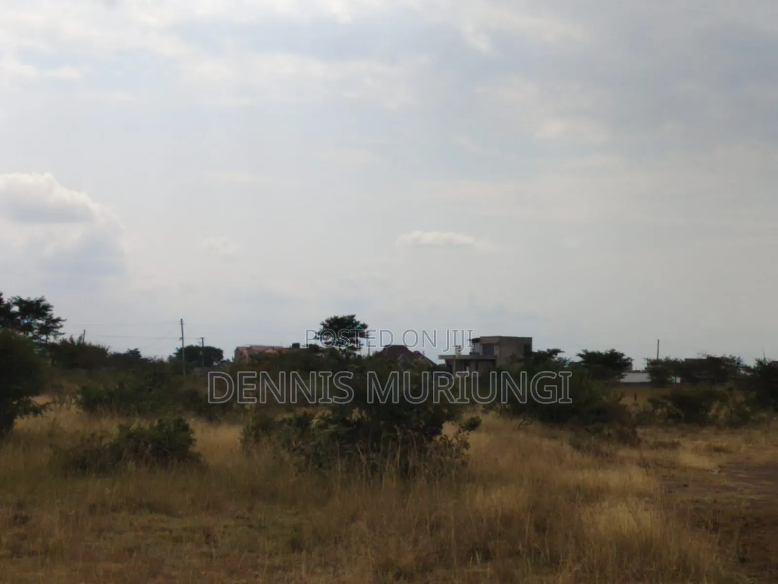 Tola Estate